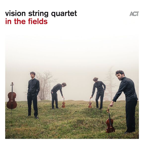 Cover von VISION STRING QUARTET - In the Fields